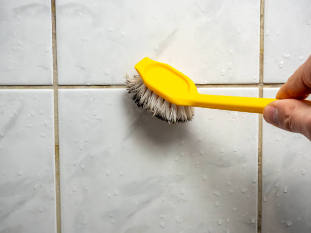 Best Mold Testing  in Carrabelle, FL