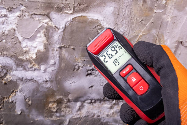 Best Mold Cleaning Services  in Carrabelle, FL