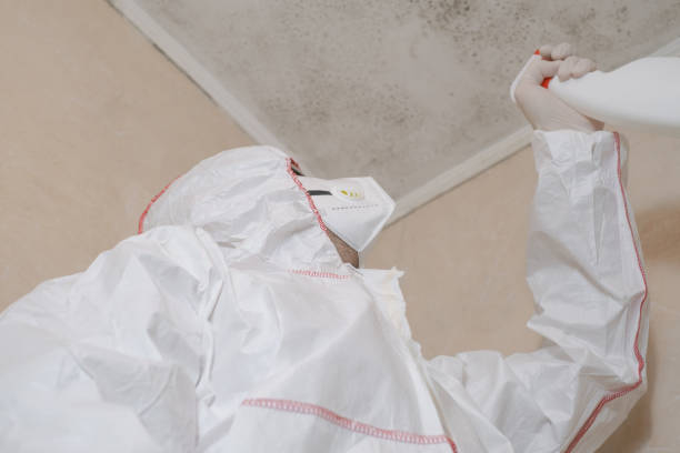 Best Commercial Mold Removal  in Carrabelle, FL
