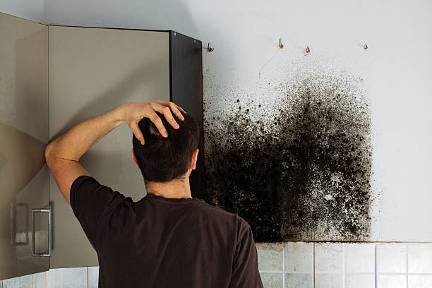 Best Certified Mold Removal  in Carrabelle, FL